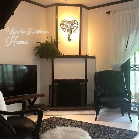 Ugurlu Dukkan Villa Sapanca