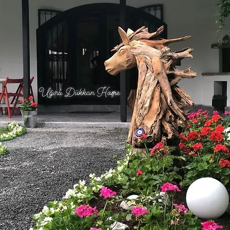 Ugurlu Dukkan * Sapanca